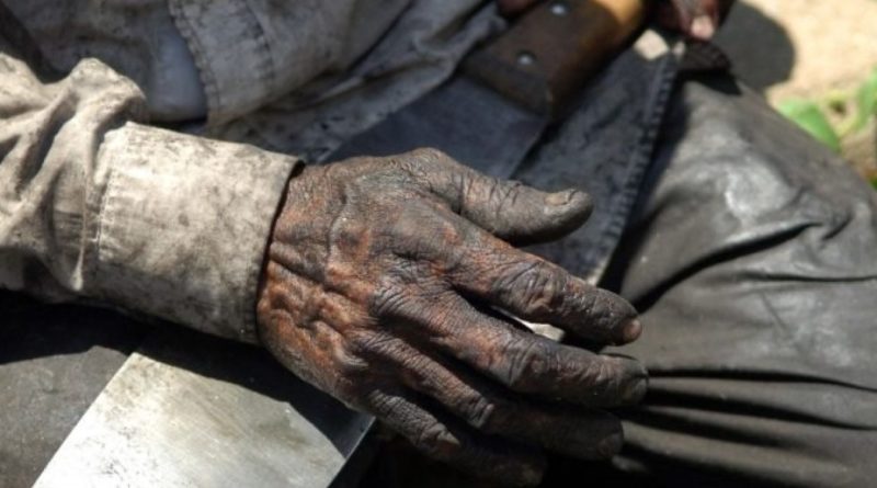 Trabalho degradante leva alagoanos a fugir de alojamento