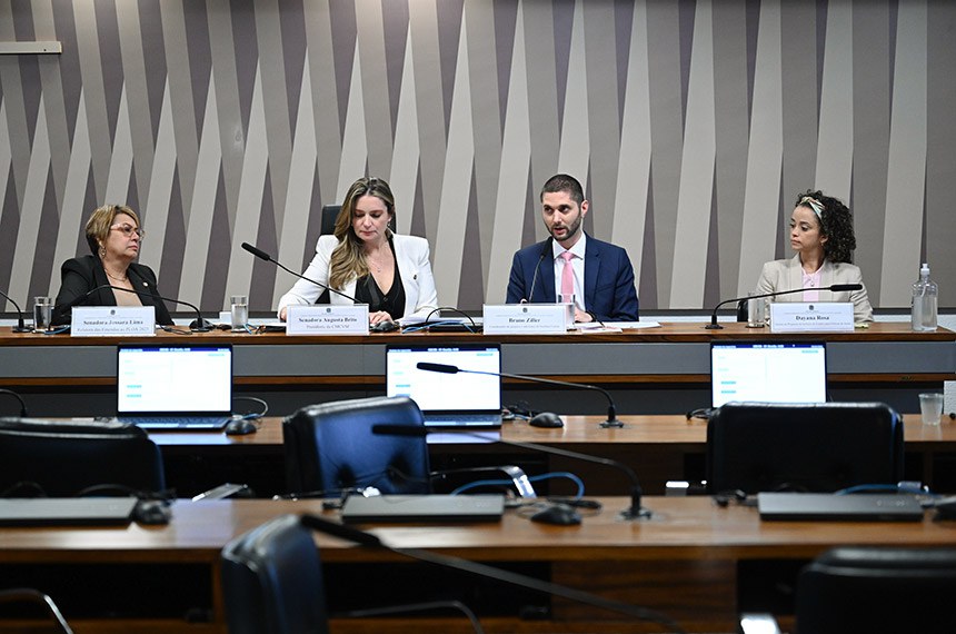 Institutos pedem mais atenção do Congresso à saúde mental feminina  