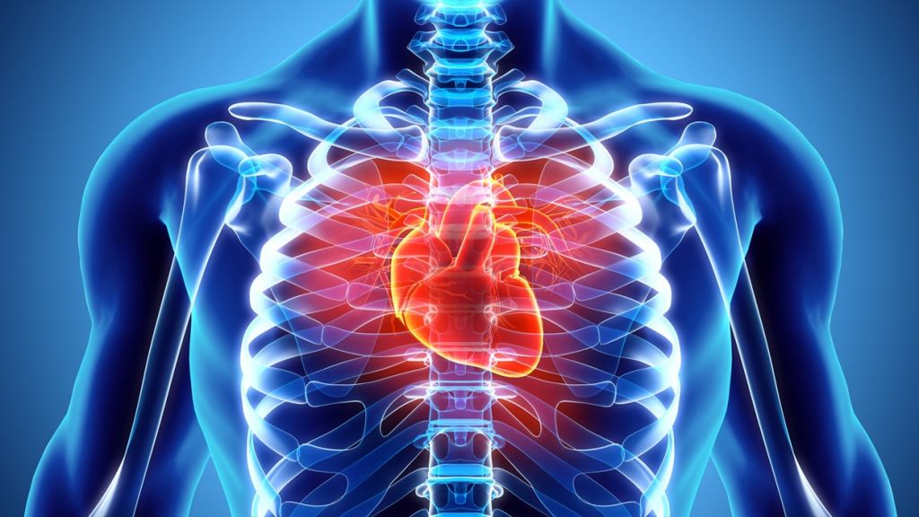 Os danos colaterais da covid-19 no campo da saúde