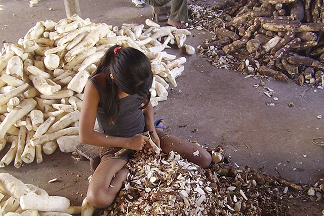 Em silêncio, 261 crianças morreram trabalhando no Brasil