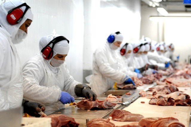 Governo quer relaxar fiscalização