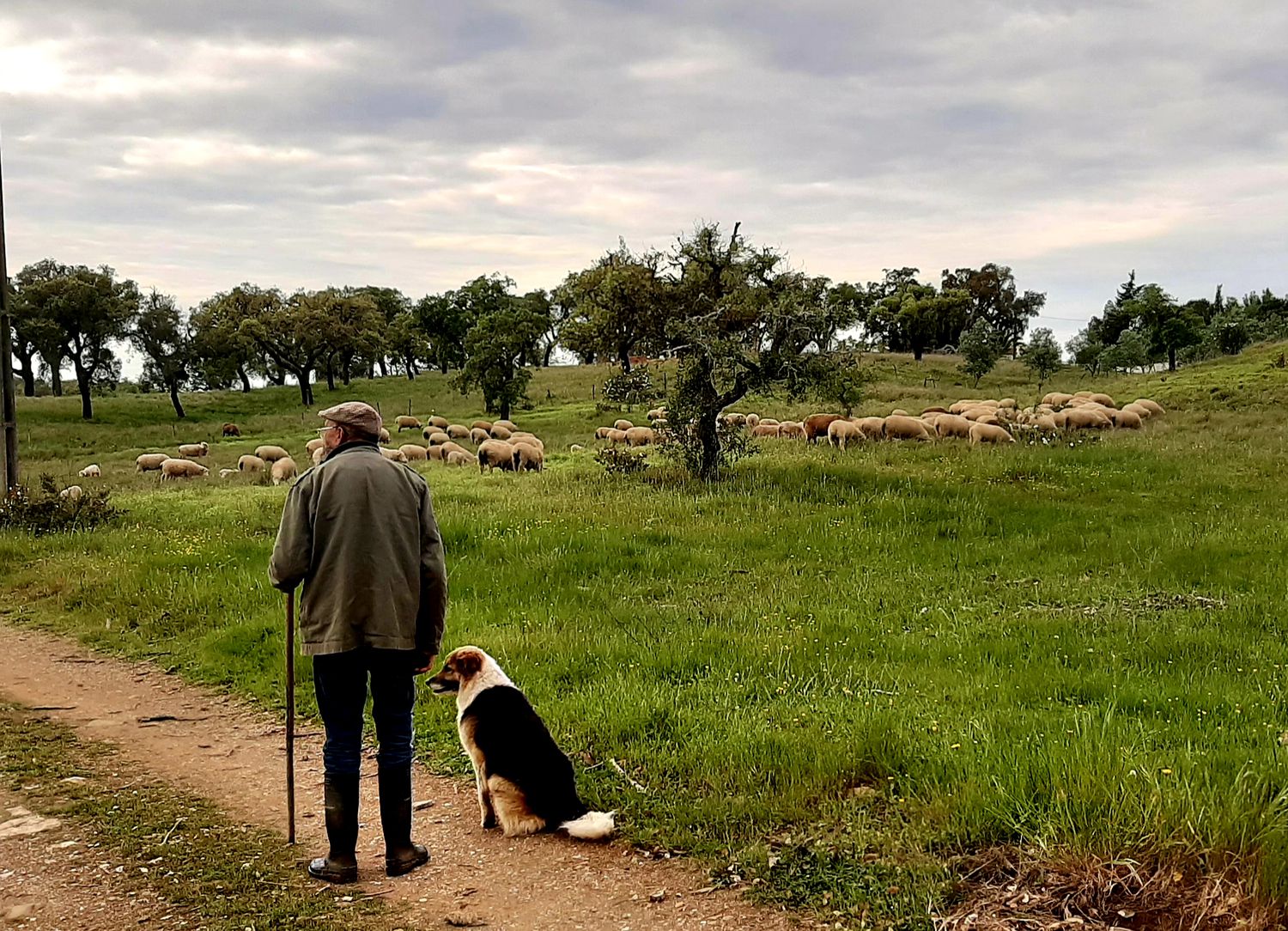 Como Portugal mantém o coronavírus mais controlado que países europeus mais ricos