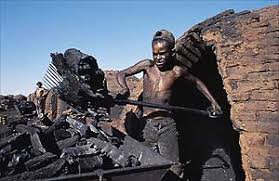 23 trabalhadores em condições degradantes são resgatados em carvoarias na região do Alto Paranaíba