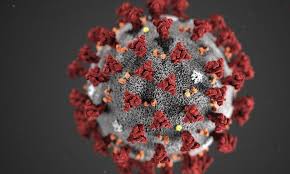 Covid-19: MPT divulga atualização de resultados das medidas adotadas nas 24 unidades regionais