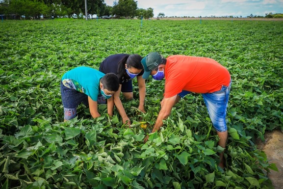Fim do Emergencial atinge 10 milhões de trabalhadores rurais