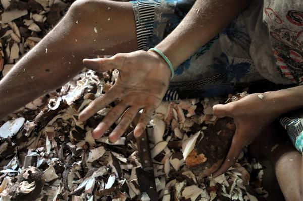 Brasil: 14 milhões de desempregados x 3 milhões de crianças e adolescentes em Trabalho Infantil