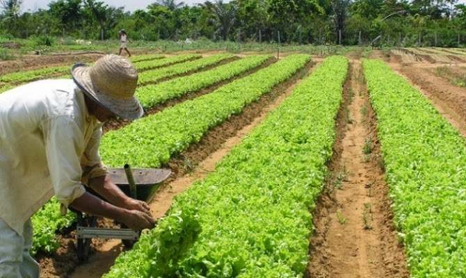 Reforma da Previdência traz incerteza e preocupação para trabalhadores do campo